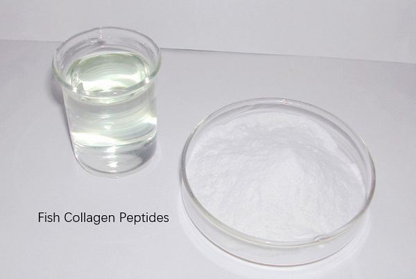 Fish Collagen Peptides Fish Collagen Peptides