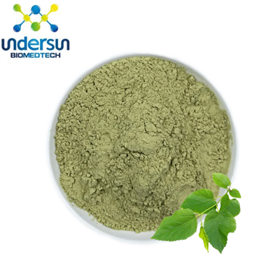 Proszek z liści morwy