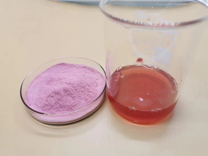 Cherry Fruit Powder factory