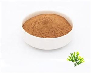 Proszek z Bladderwrack