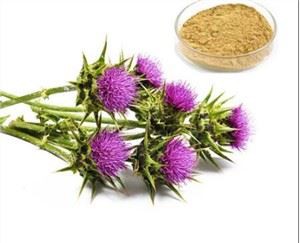 Standaryzowany ekstrakt z ostropestu plamistego