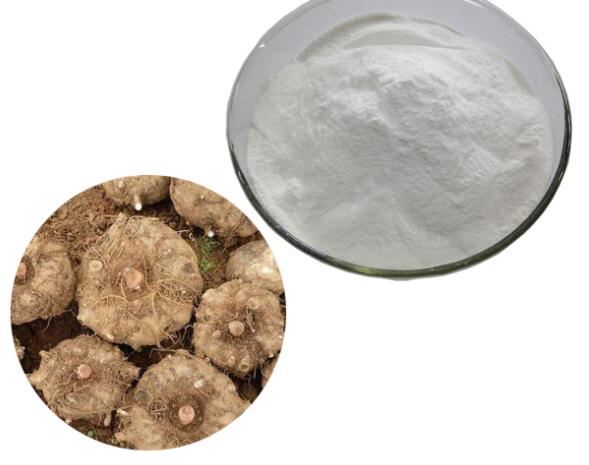 Wyciąg z korzenia Konjac