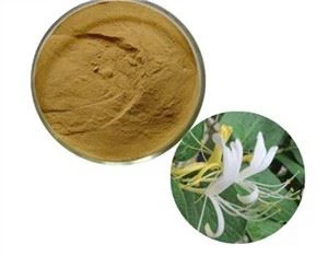 Lonicera Japonica Wyciąg z kwiatów wiciokrzewu