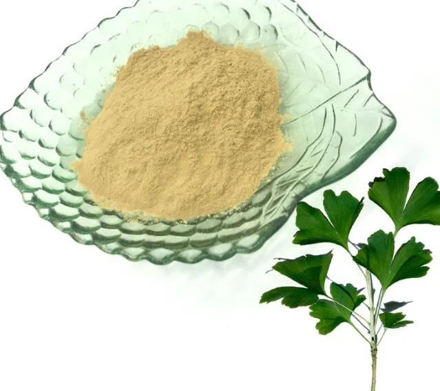 Organic Ginkgo Biloba Powder