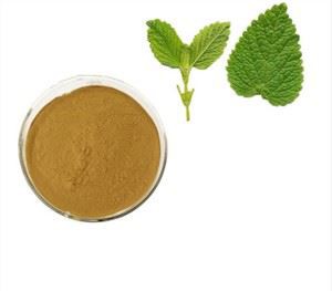 Ekstrakt z liści Melissy Officinalis