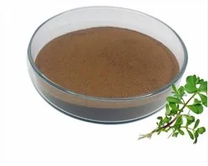 Proszek z ekstraktu z portulaki