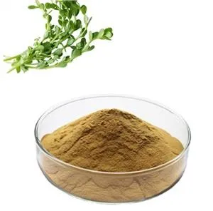 Ekstrakt z ziół portulaki